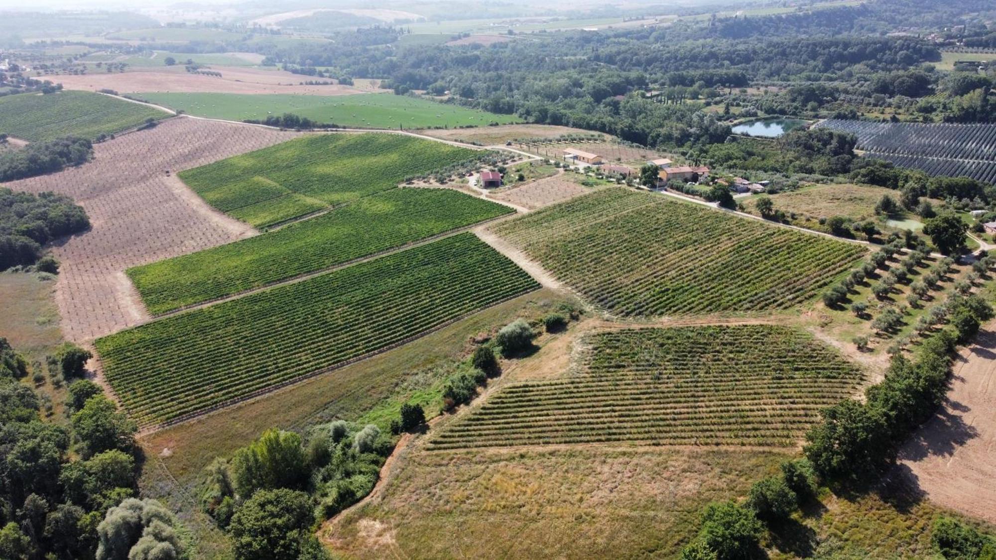 Agriturismo Podere Casa Al Vento มอนติปุลเชียโน ภายนอก รูปภาพ